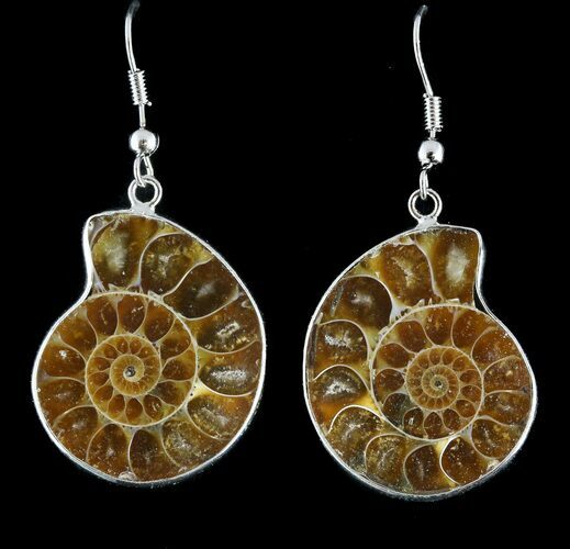 Fossil Ammonite Earrings - Million Years Old #48835